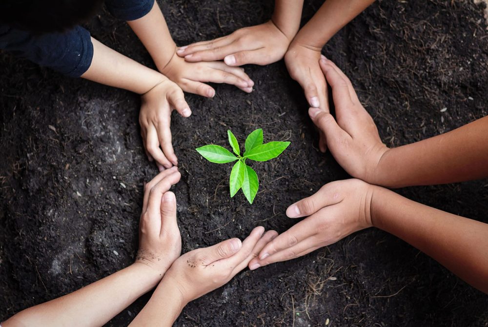 Ecology & Environment WordPress Theme Save green planet concept with eco-friendly symbols promoting environmental conservation